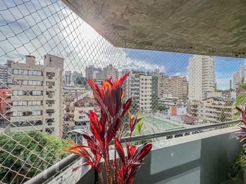 Image 32 - 272483
